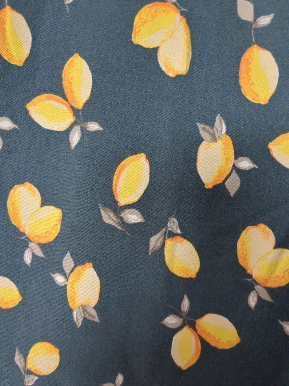 Vintage Pants with Lemon Motif - Picture 2 of 11